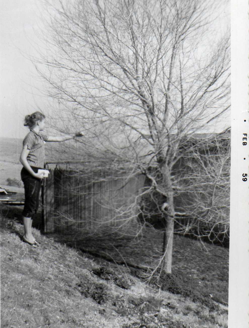 Image 52